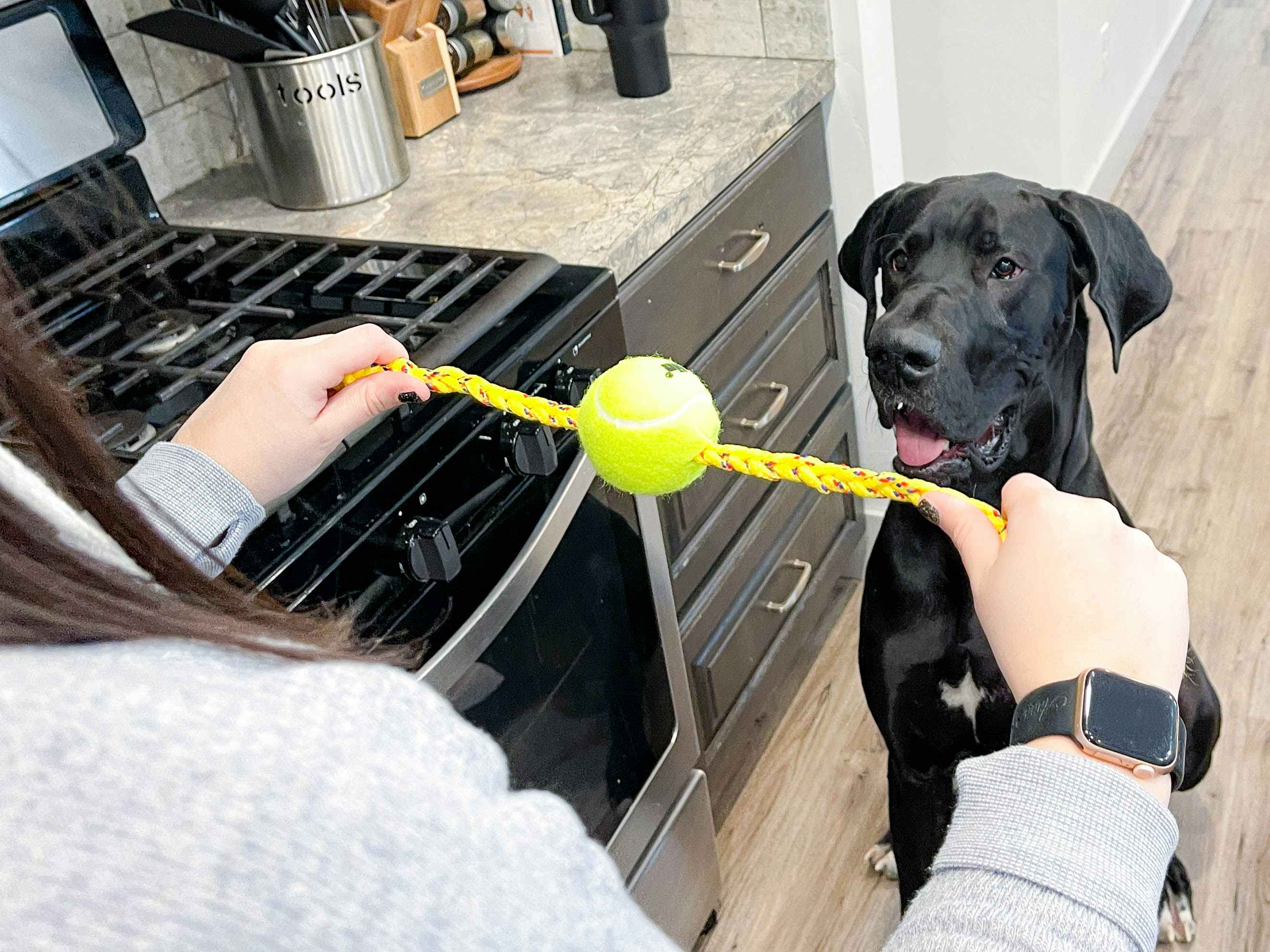 https://prod-cdn-thekrazycouponlady.imgix.net/wp-content/uploads/2023/03/diy-easy-dog-toys-rope-tennis-ball-3-1678130614-1678130614.jpg?auto=format&fit=fill&q=25