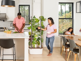 A person tending to a Gardyn indoor vertical garden in the kitchen