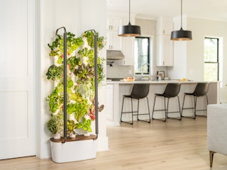 A Gardyn indoor vertical garden set up in a kitchen