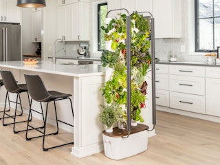 A Gardyn indoor vertical garden set up in a kitchen