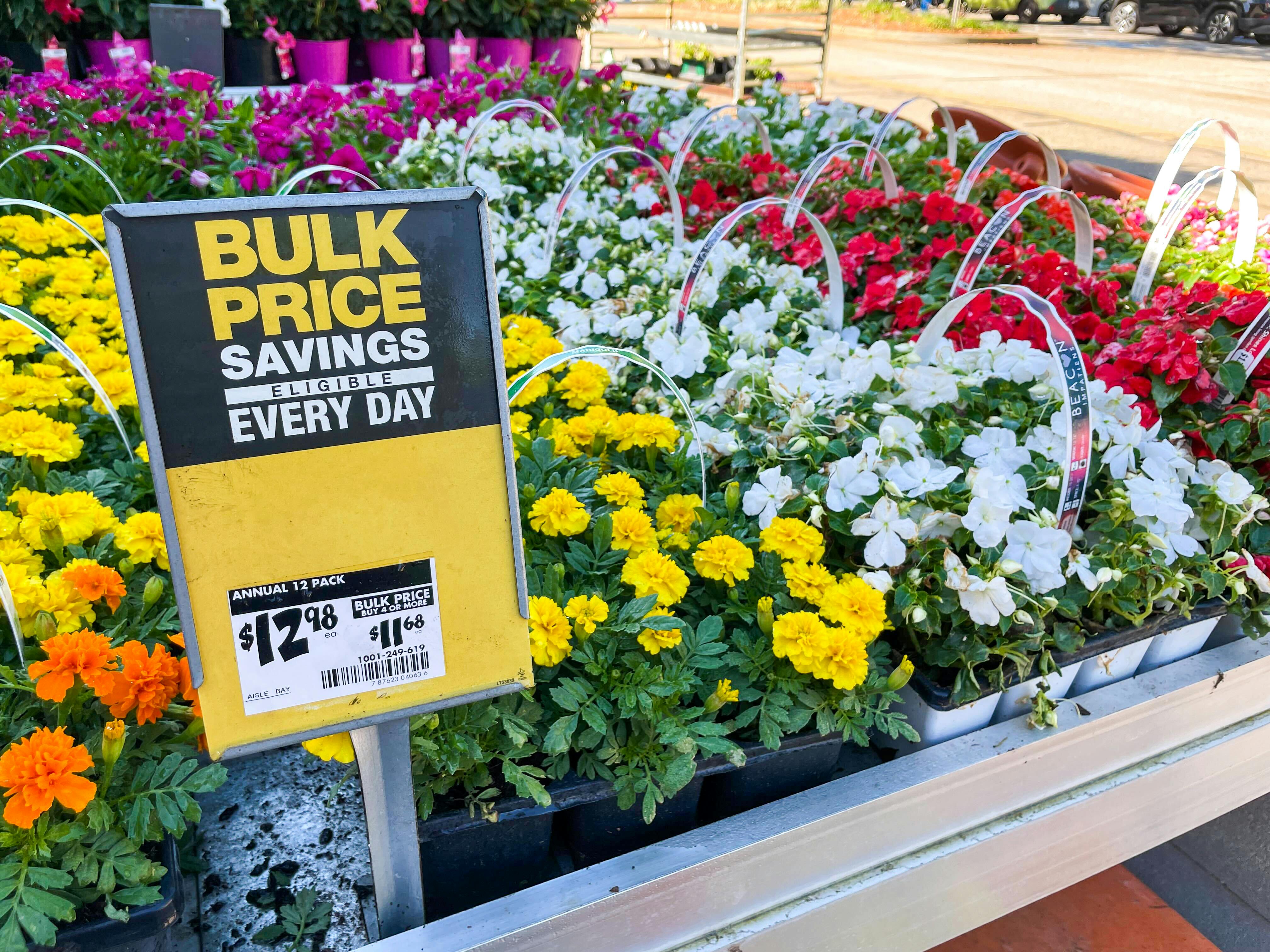 A variety of 12-pack annuals on display next to a bulk savings sign at the home depot garden center