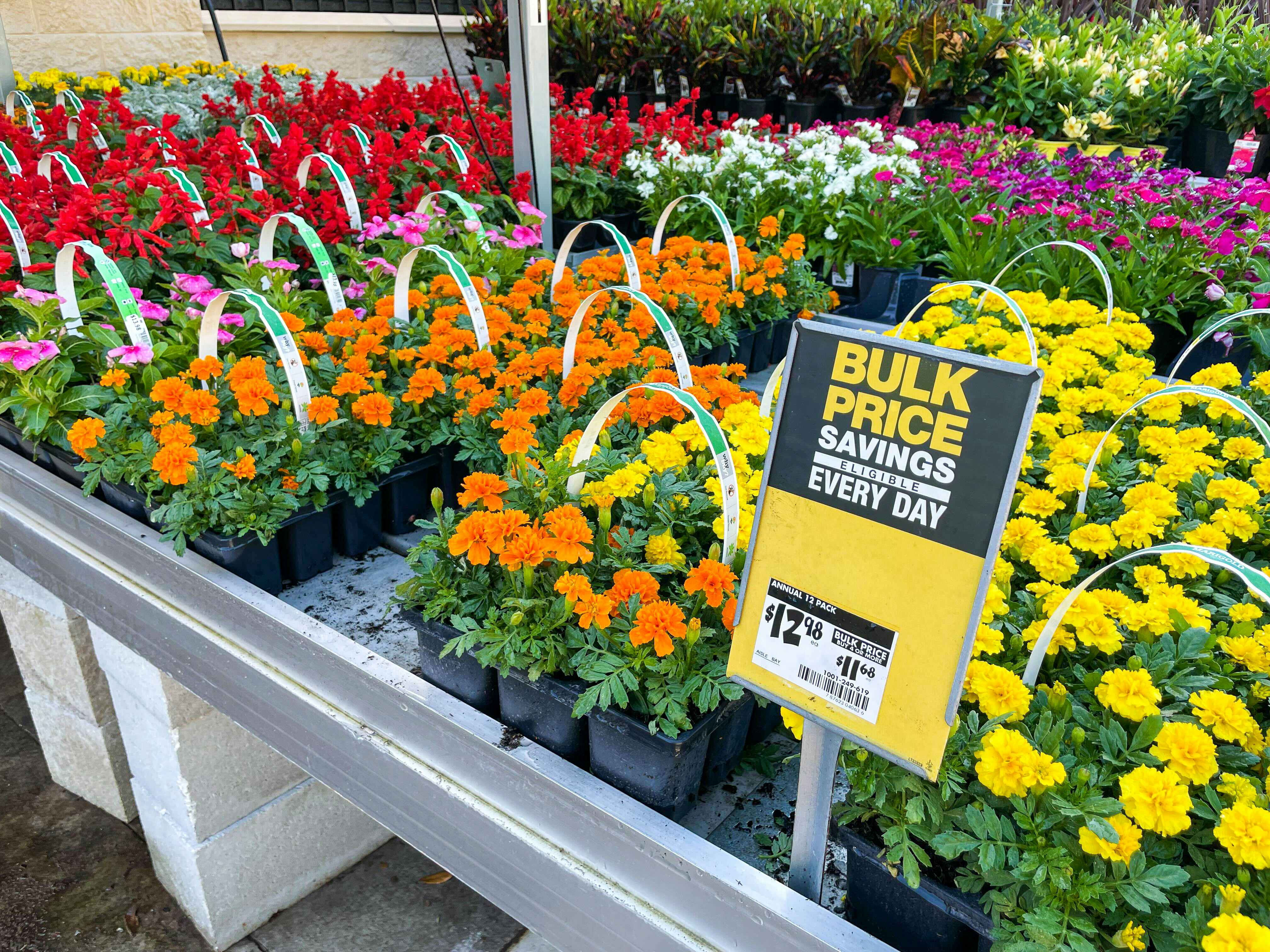A variety of 12-pack annuals on display next to a bulk savings sign at the home depot garden center
