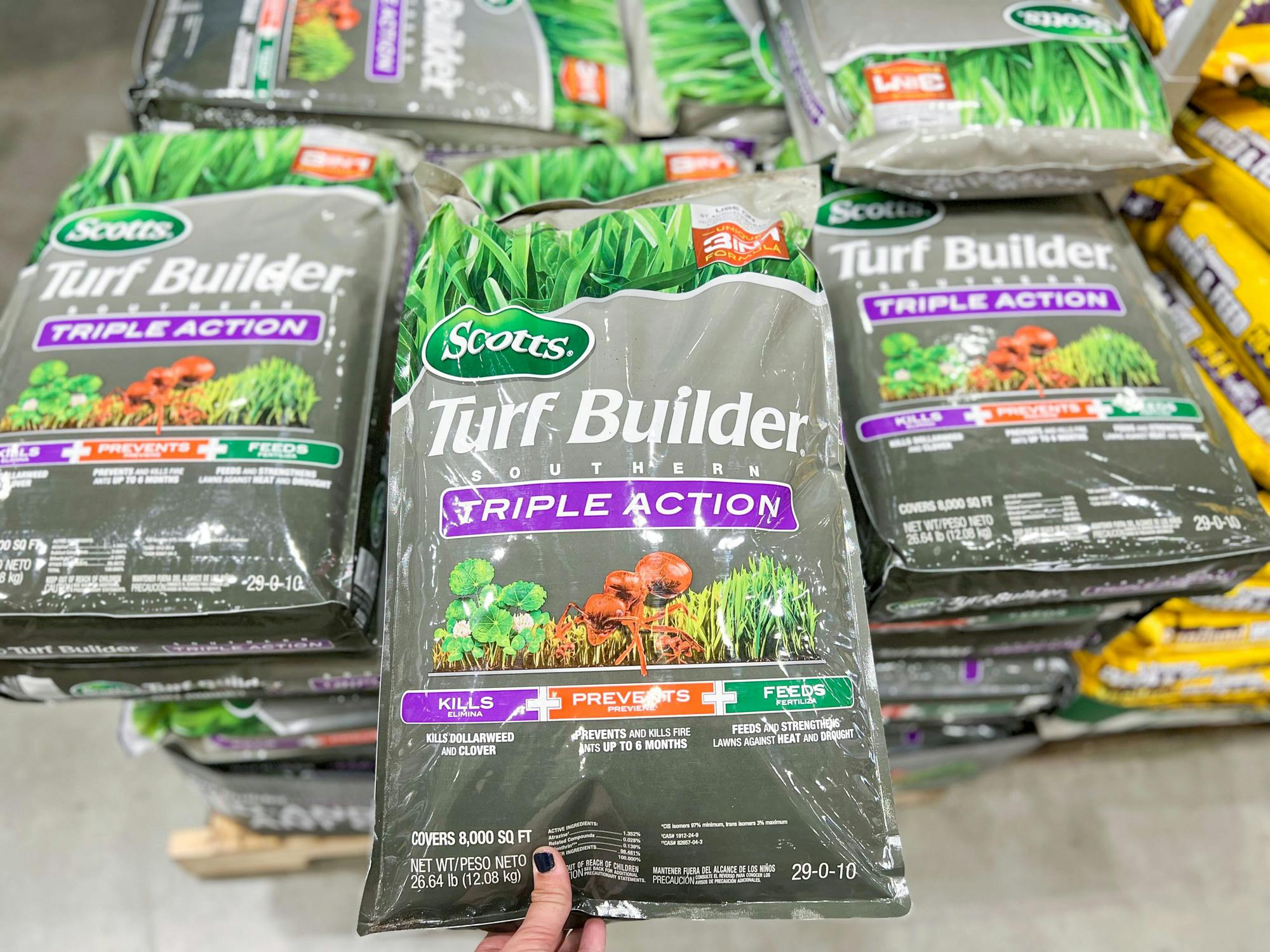 Bags of Scotts Turf Builder in Lowe's