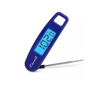Foliding Digital Thermometer