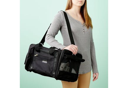 Airline-Approved Medium Pet Carrier