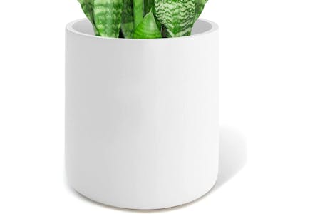 Pots for Indoor Plants