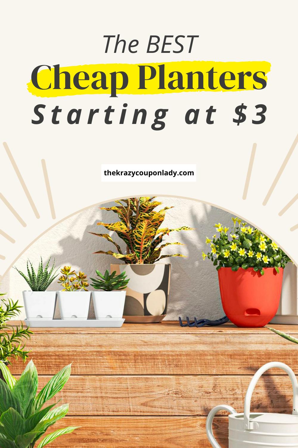Our Favorite Cheap Planters Start at Just $3