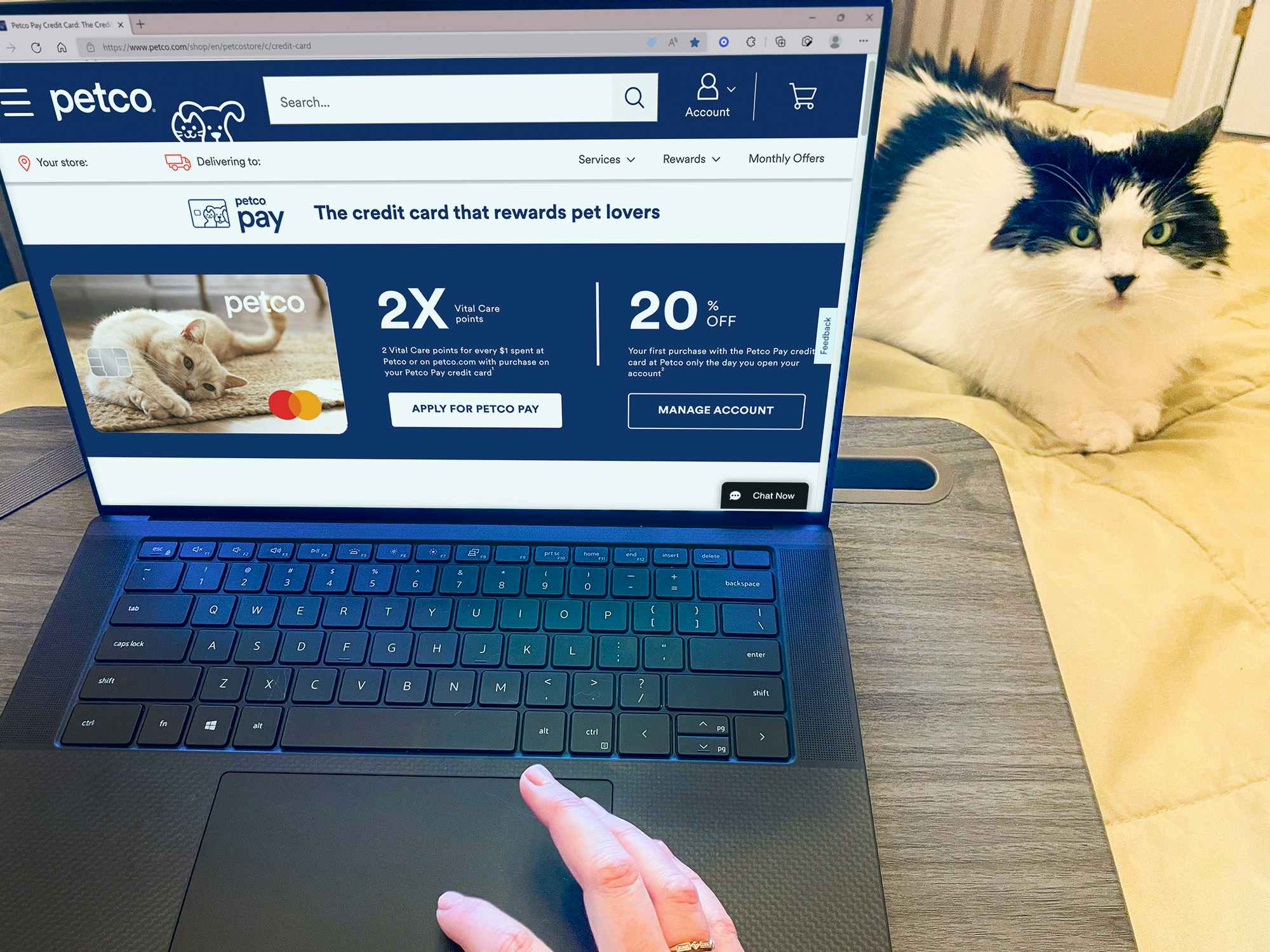Petco Pay credit card information page on a laptop next to a cat