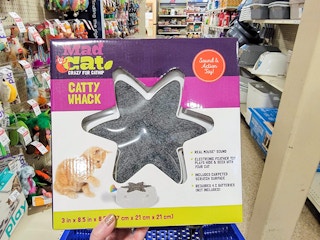 cat toy