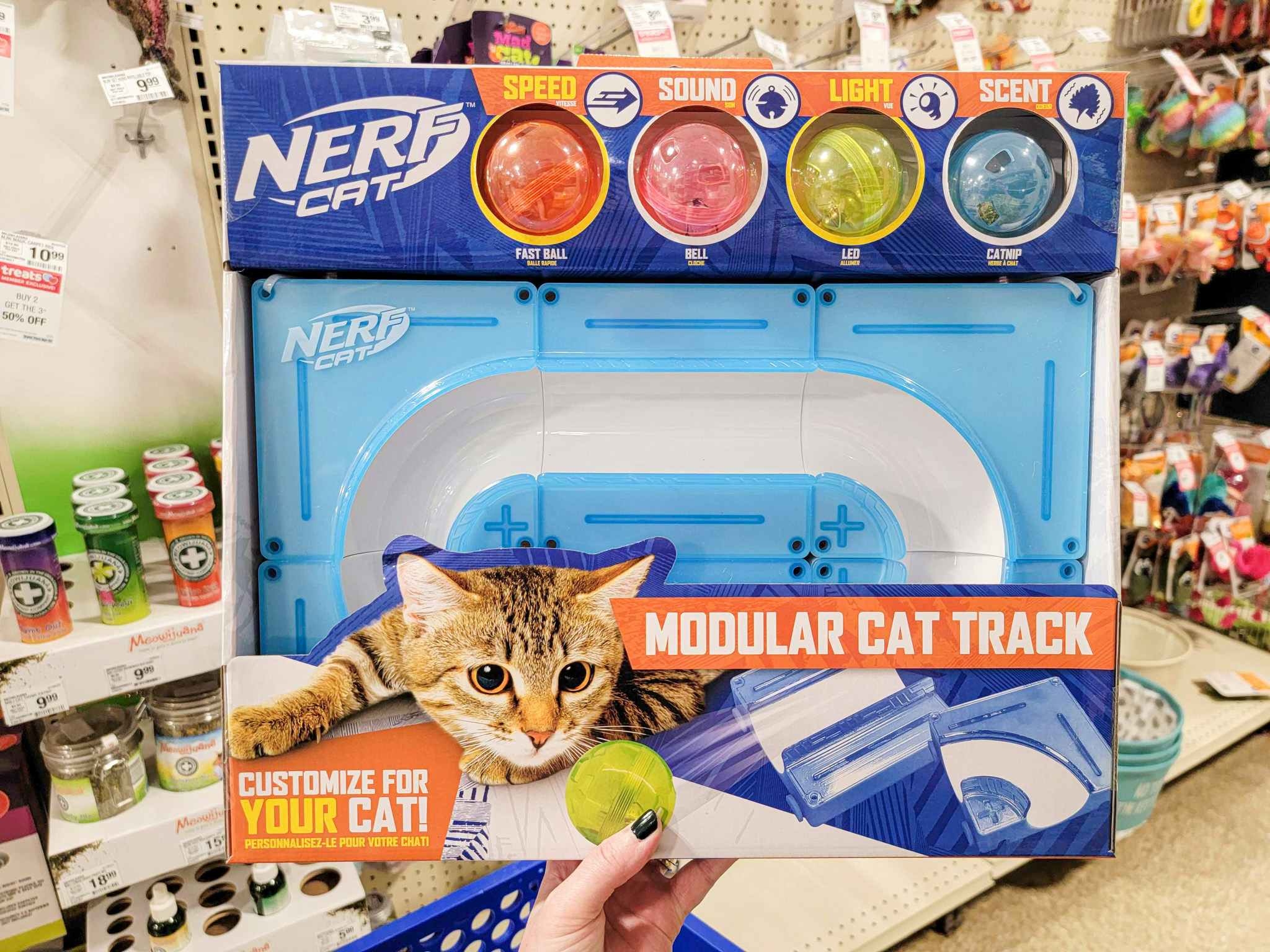 hand holding a nerf cat toy
