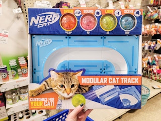 hand holding a nerf cat toy