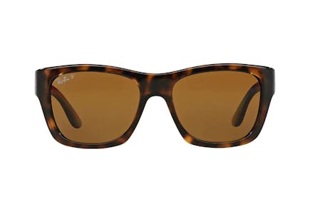 RB4194 Sunglasses