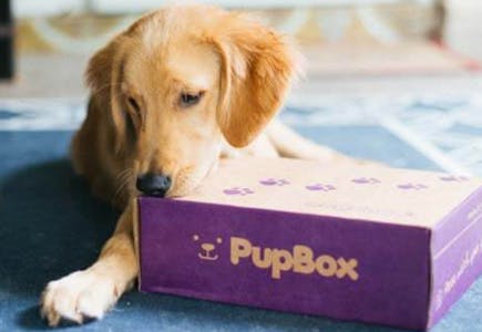 First PupBox