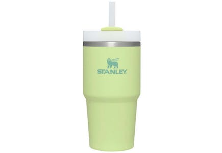 Get a Gift Card When You Buy a Stanley Quencher Tumbler — Today Only! –  SheKnows