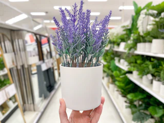 target faux plants 2023 02 1679413302 1679413302 scaled