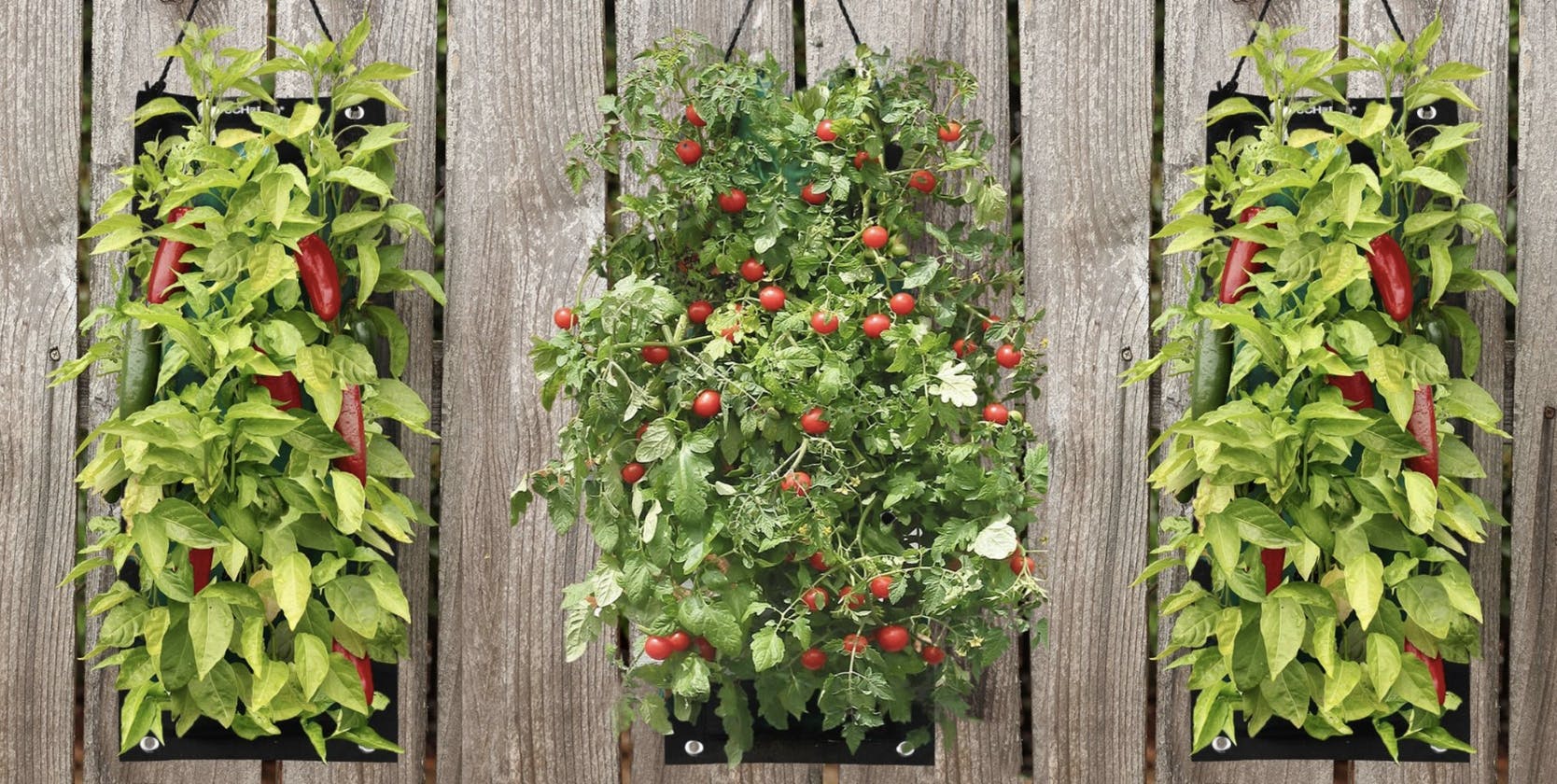 until gone Indoor:Outdoor Organic Hanging Fruit & Veggie Garden Kits featured image 2023