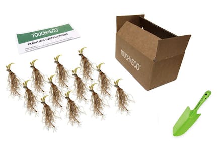12 Bare Roots With Trowel