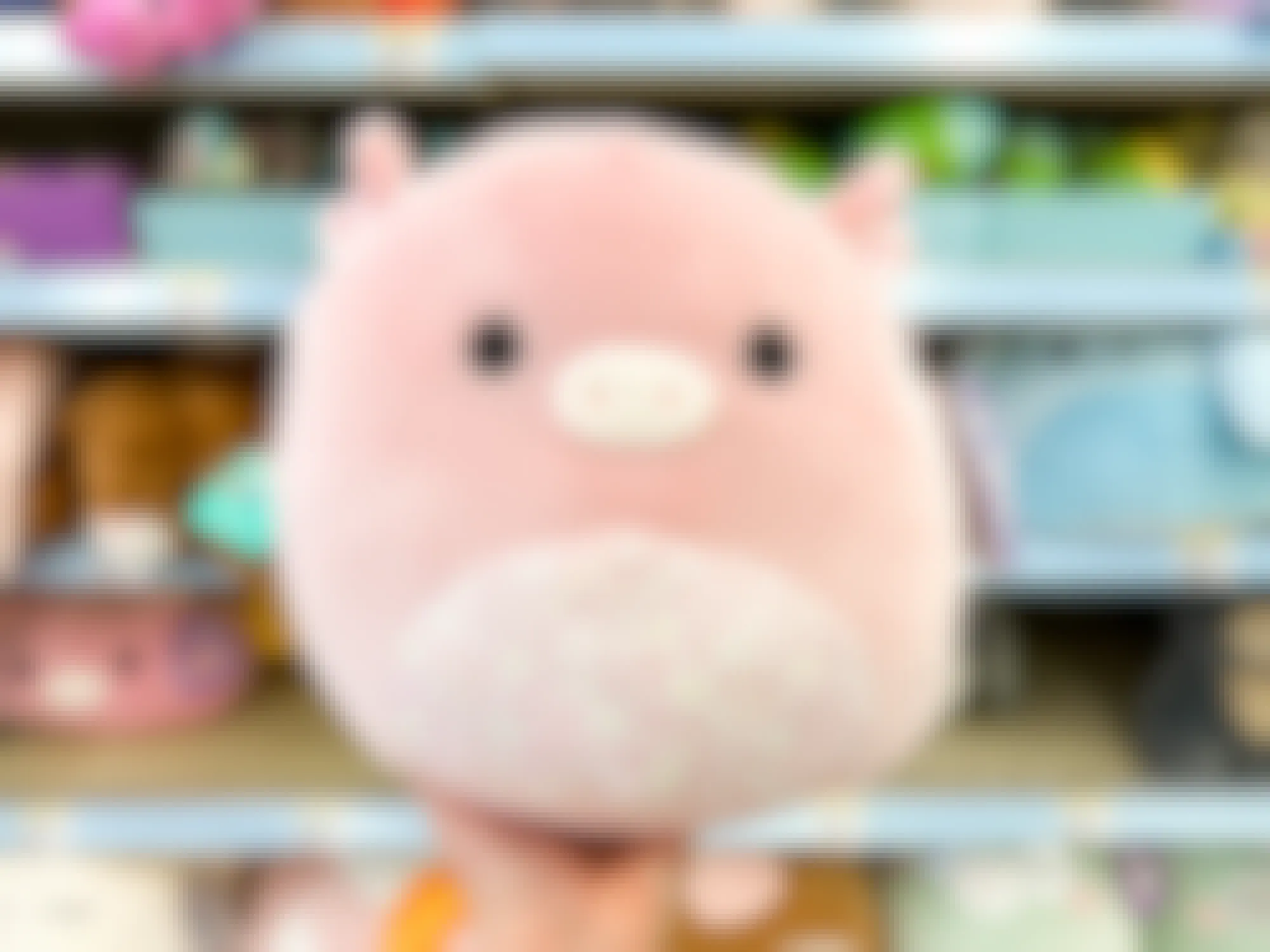 Someone holding a Peter pig Squishmallow in front of some shelves at Walgreens