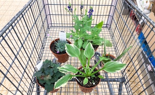 aldi home and garden post 1 1682691820 1682691821