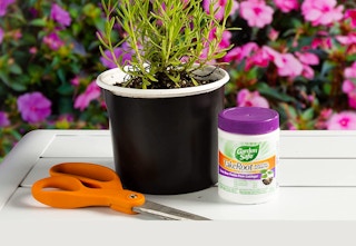 amazon garden root hormone 2023 1 1681472028 1681472028