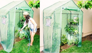 amazon greenhouse 3 1681490644 1681490644 e1681490664224