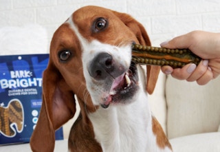 bark bright dental chews a 1681989342 1681989342