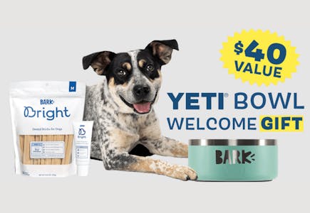Free Seafoam Yeti Dog Bowl w/ Subscription