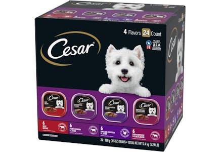 Cesar Dog Food Bundle