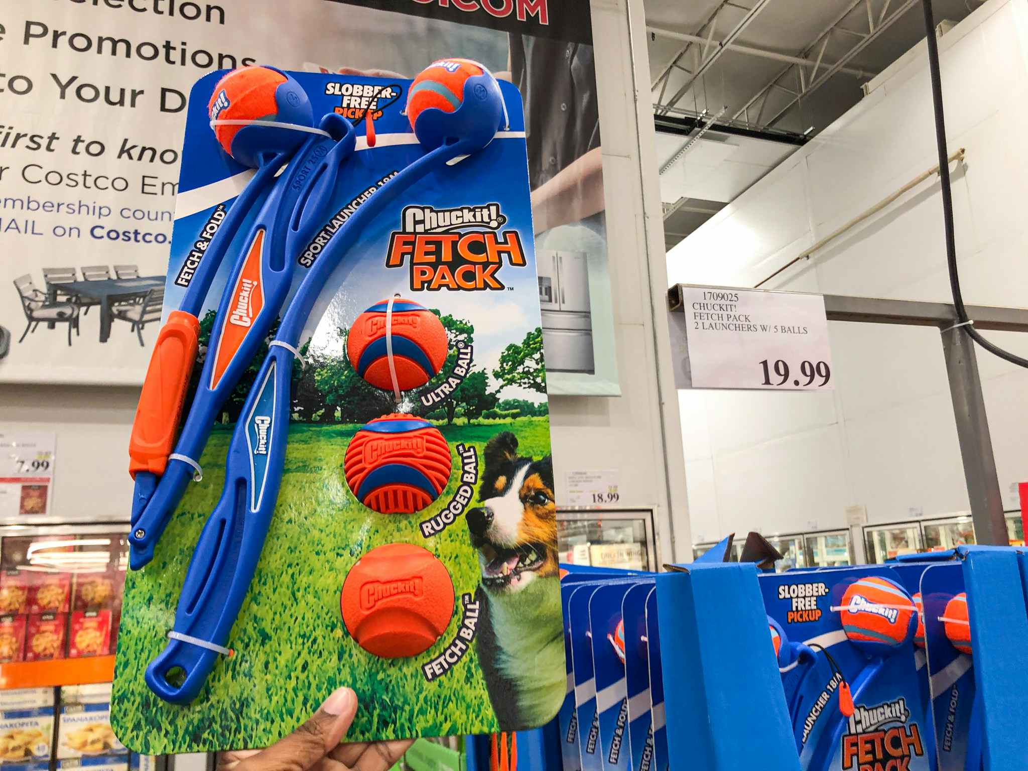 chuck it fetch pack by a sign for $19.99