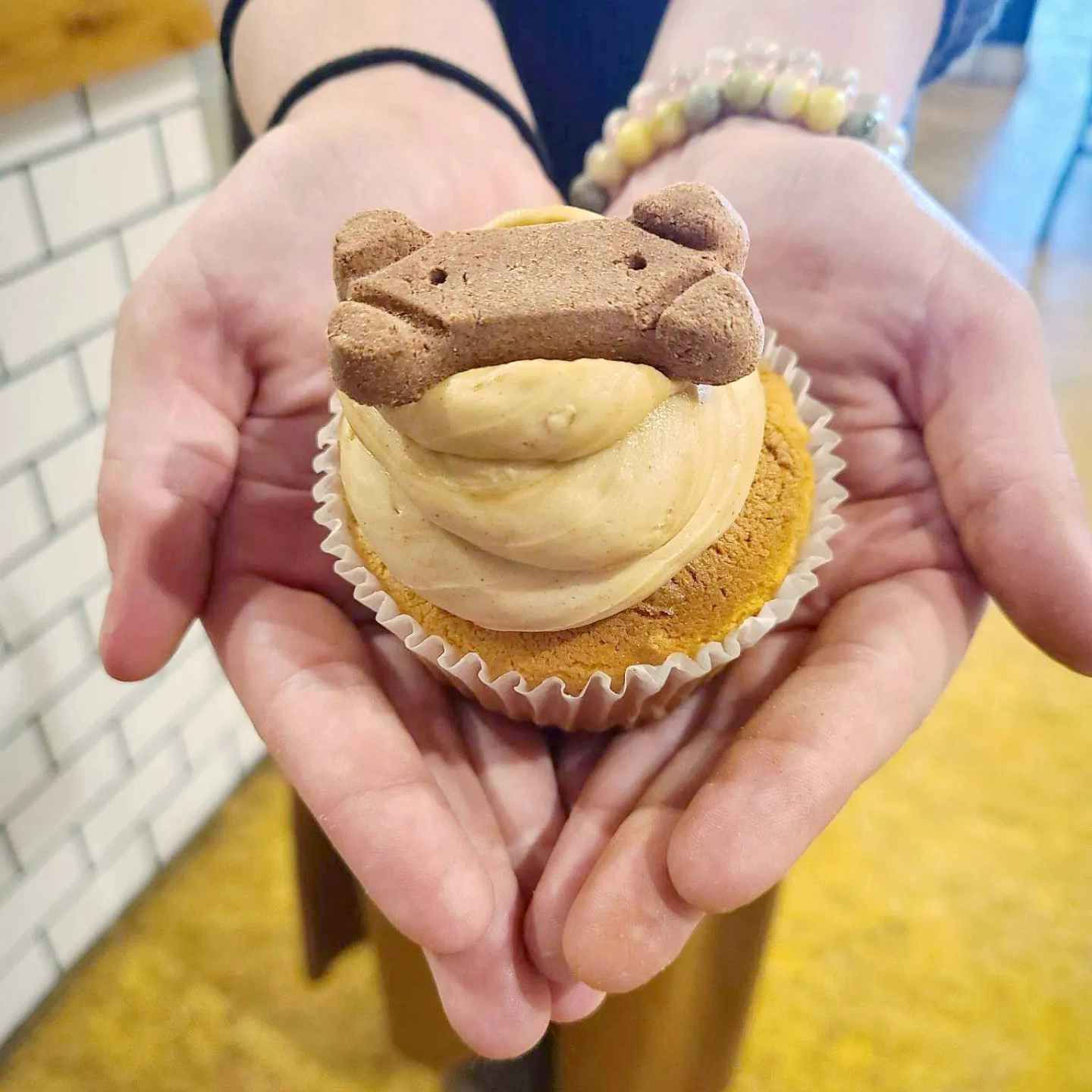 person holding a pups and cups cafe cupcake with a dog treat