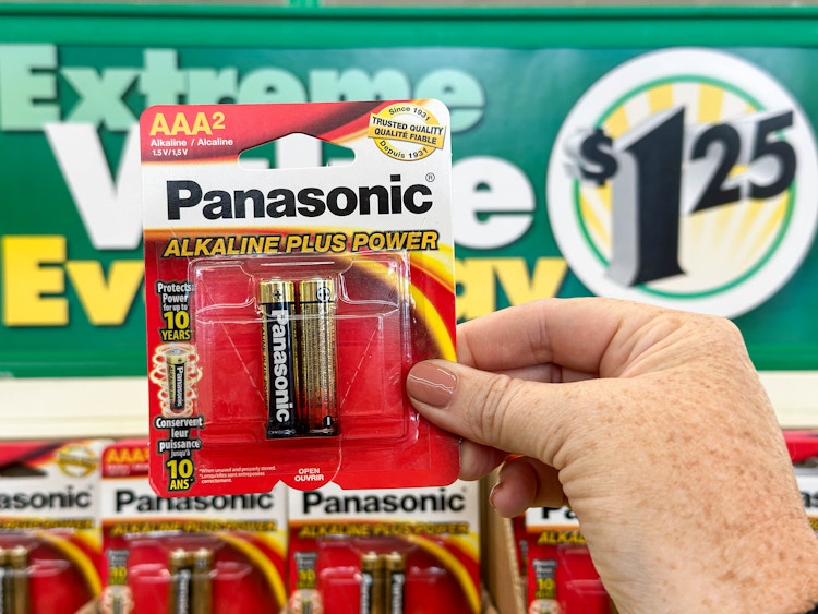 a person holding panasonic batteries 
