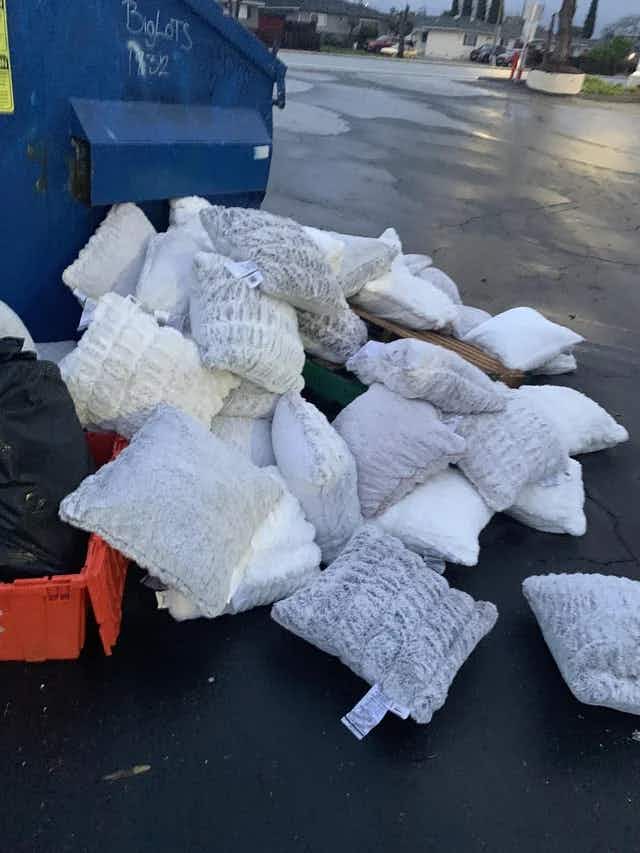 Pillows outside a Big Lots dumpster