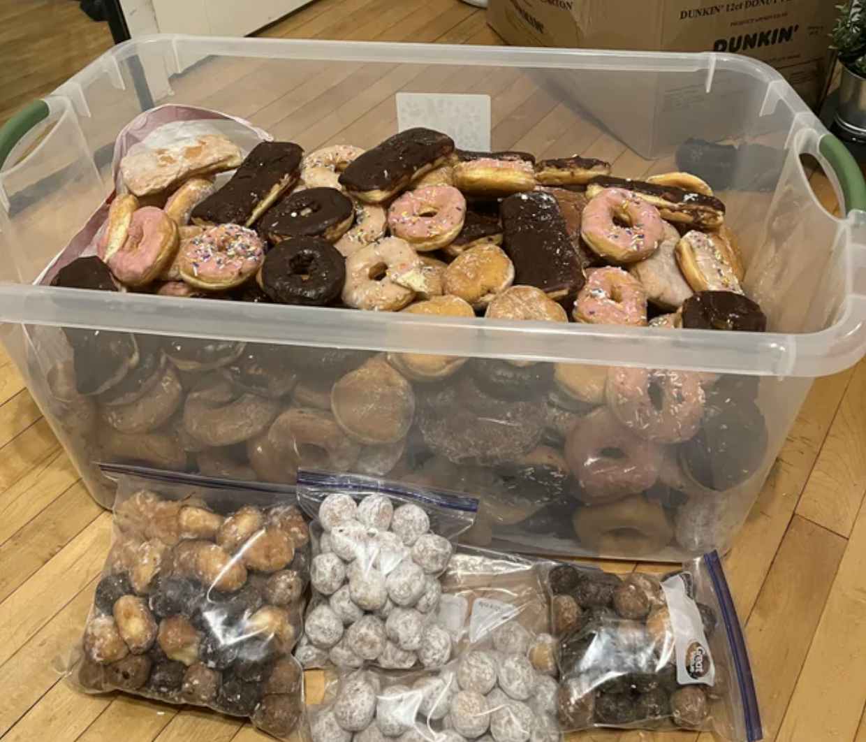 Donuts recovered from a Dunkin dumpster