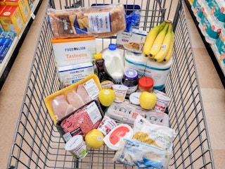 Food Lion groceries in a shopping cart