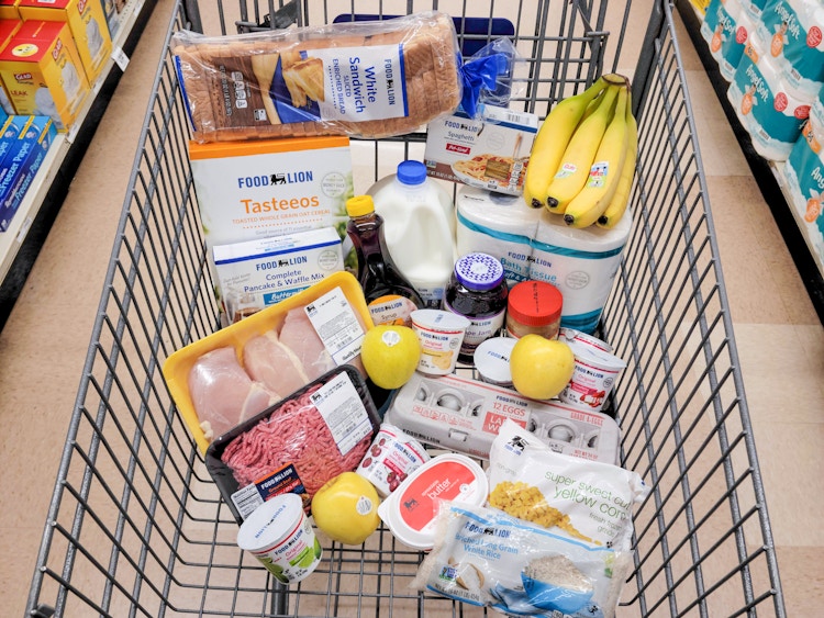 Food Lion groceries in a shopping cart