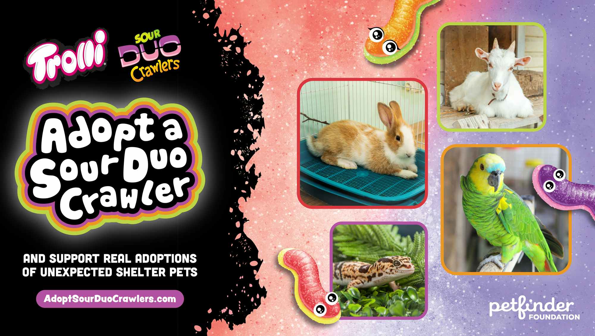 trolli sour duo crawlers candy promo for adopt-a-pet day