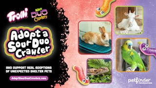 trolli sour duo crawlers candy promo for adopt-a-pet day