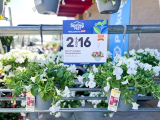 hanging flower baskets lowes 2023 1 1681394688 1681394688