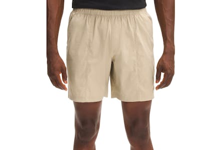 The North Face Men's Beige V Shorts