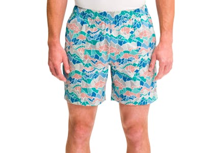 The North Face Men's Gray and Blue Mountain Shorts