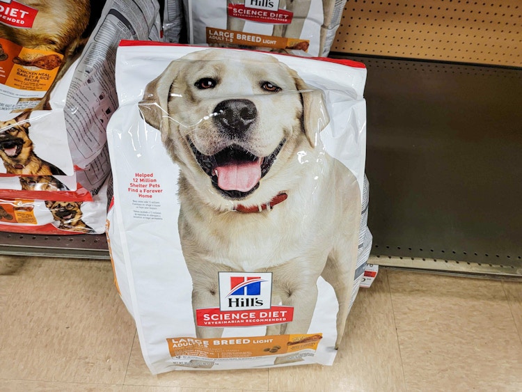 dog food