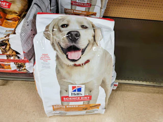 dog food
