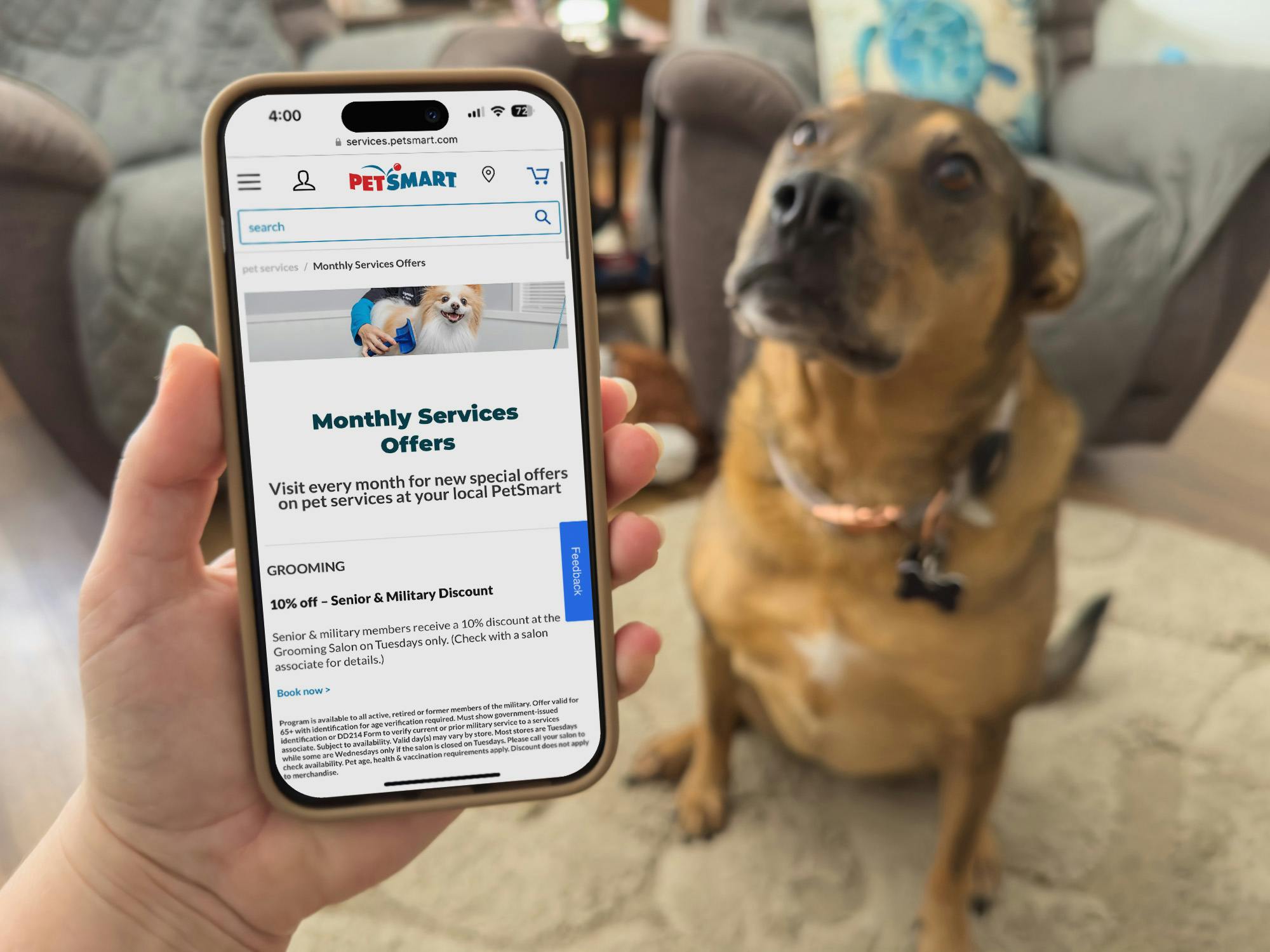 6 Tips For Finding A PetSmart Grooming Coupon Plus Current Offers   Petsmart App Monthly Services Offers Grooming Coupons Phone Dog 1680725382 1680725382 