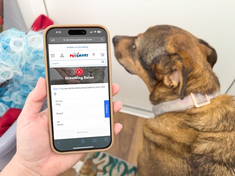 Someone looking at the Petsmart Grooming services webpage on a phone next to their dog