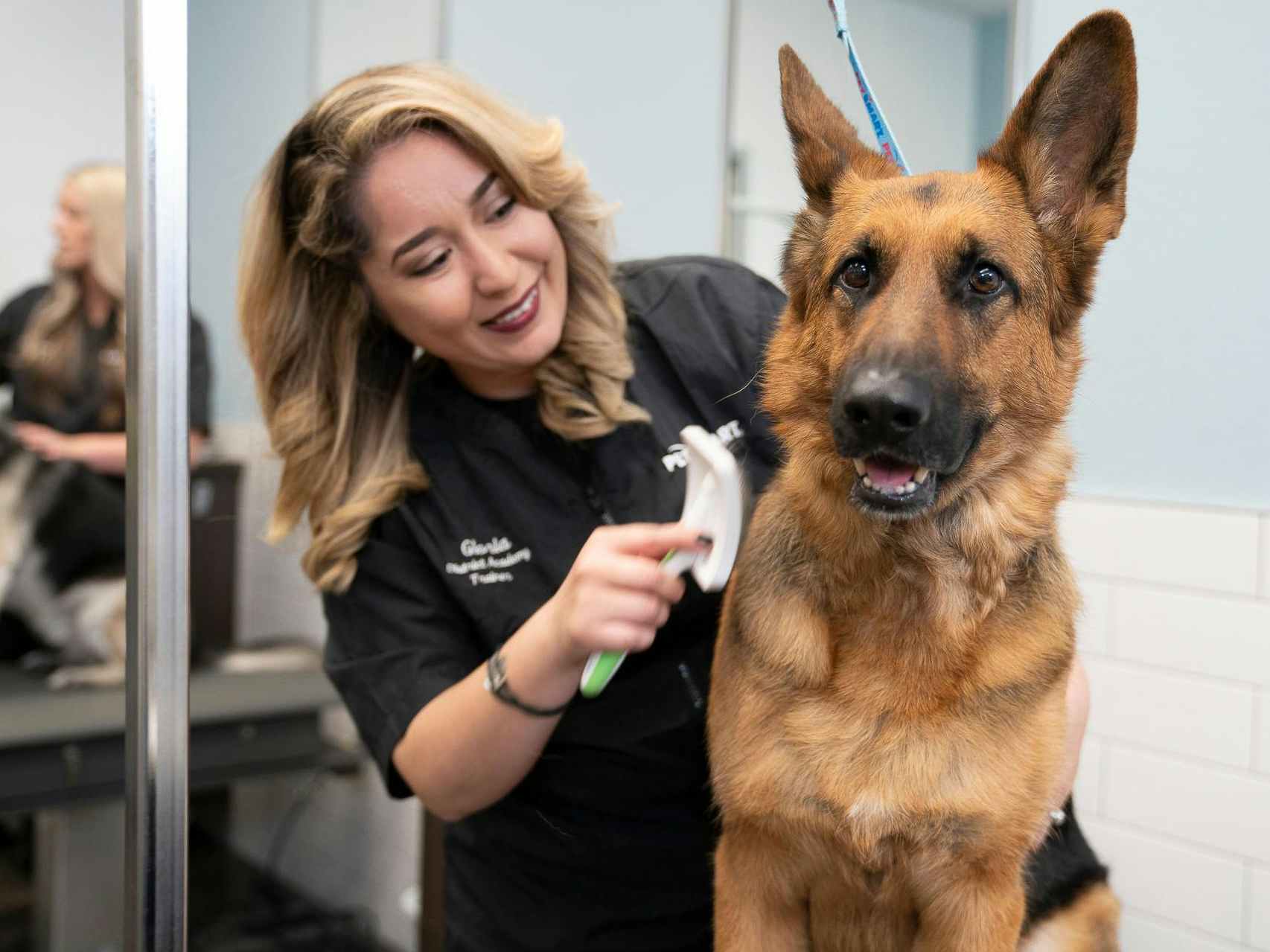 A Petsmart groomer brushing a dog in the Petsmart salon