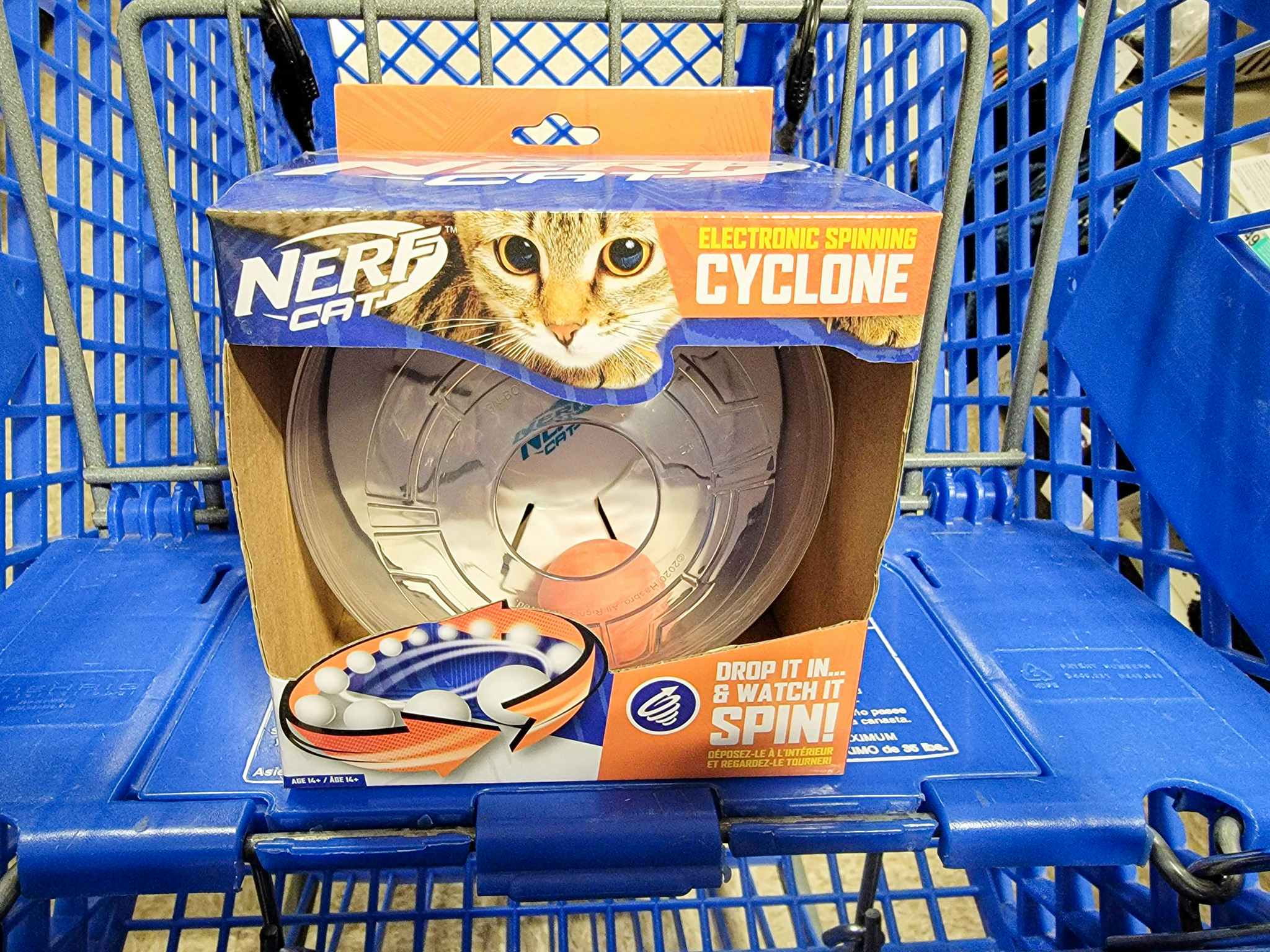 nerf cat toy in a cart