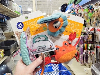 hand holding cat toys