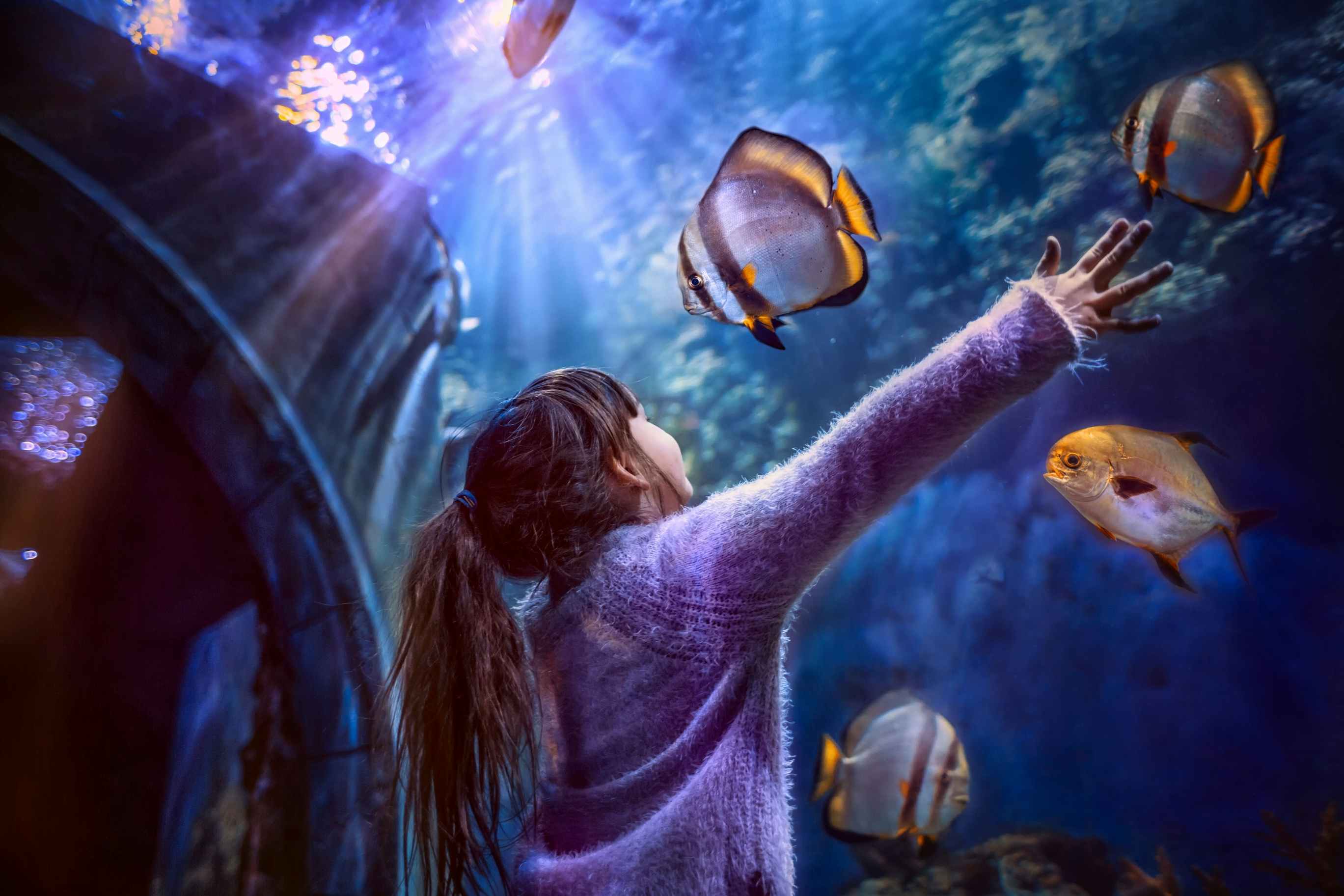 a little girl at an aquarium 