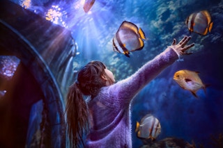 a little girl at an aquarium