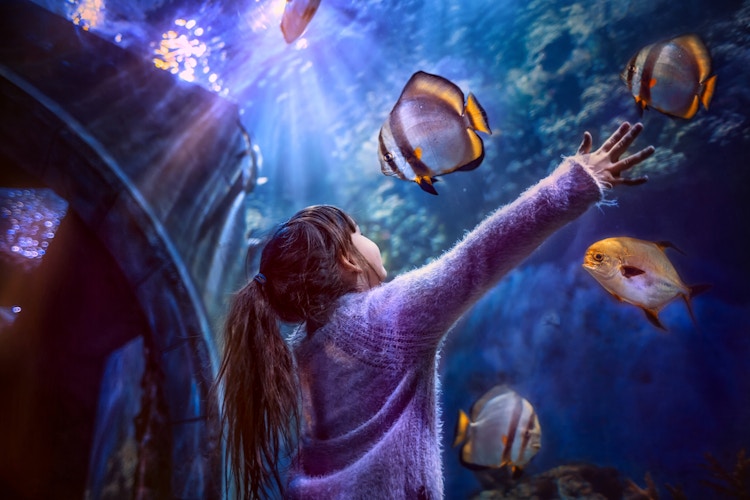 a little girl at an aquarium 